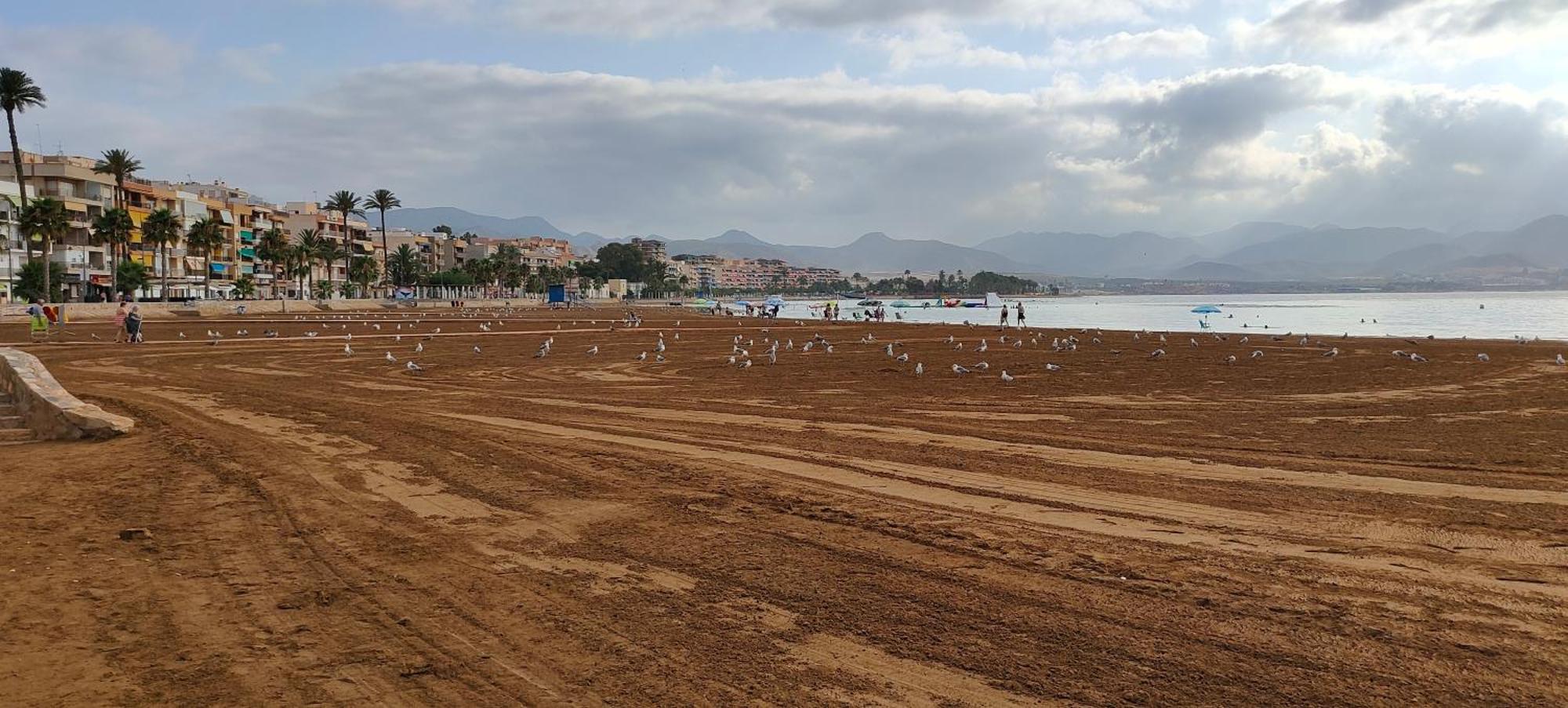 Playa Puerto de Mazarron