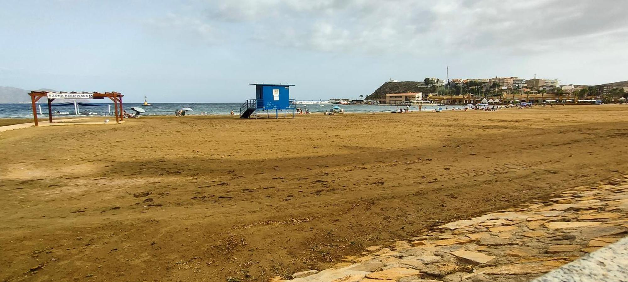 Playa Apartment