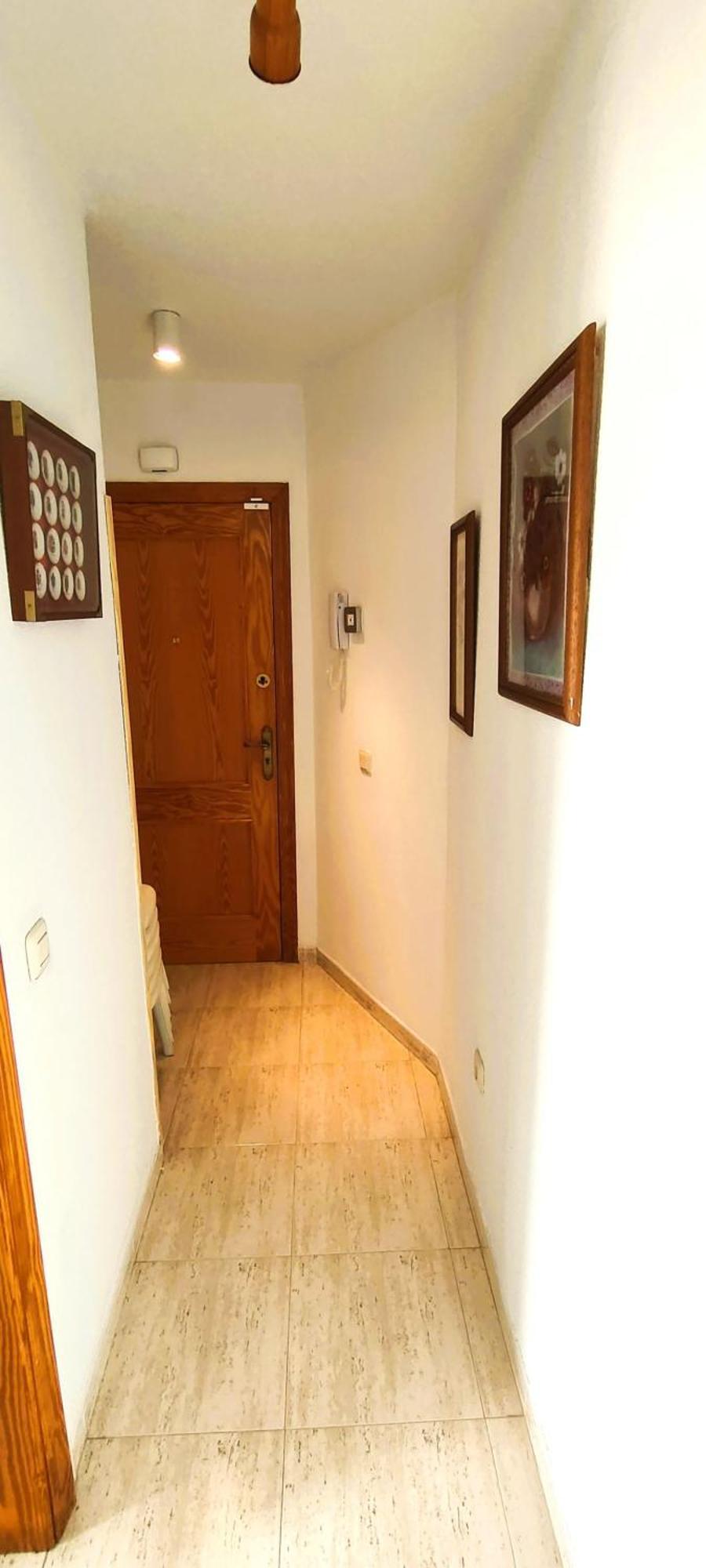 Playa Apartment *